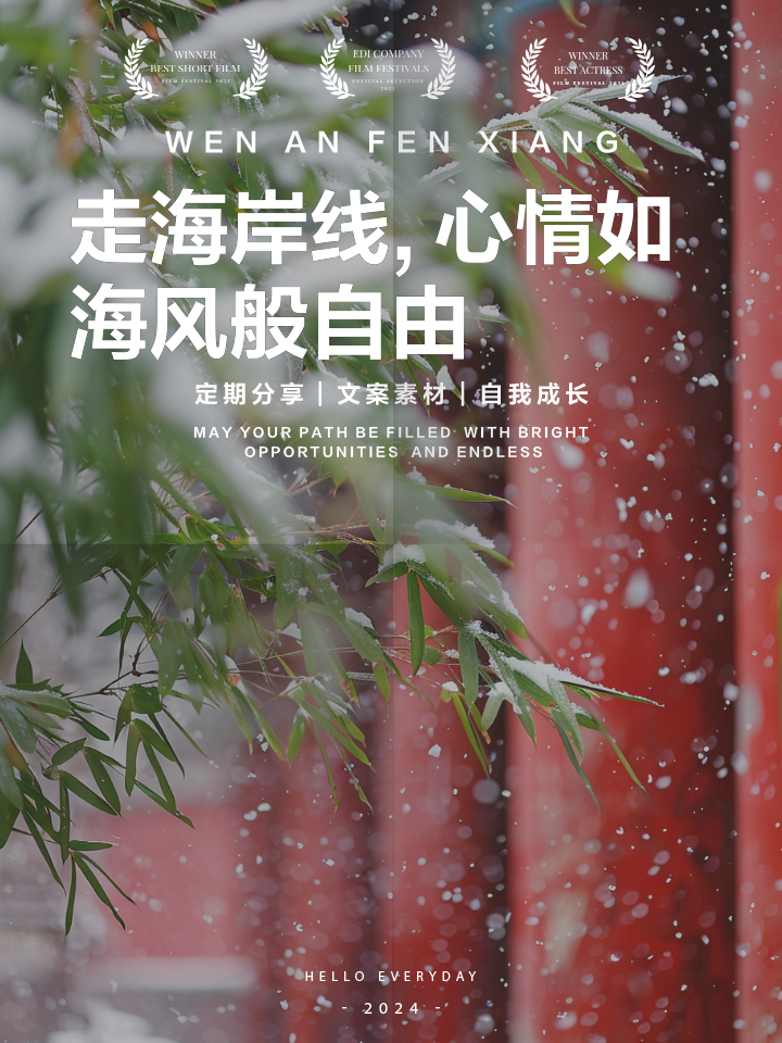 包含海岸线徒步探索赛，感受海风的洗礼的词条