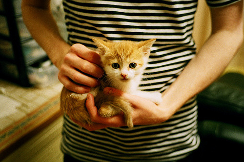 伊朗男足在巴黎奥运会上表现出色,晋级四强,伊朗男足进过几次世界杯