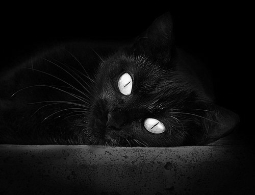 九游（jiuyou.com）游戏-公牛首次发布球员心理测试数据，用于选秀参考，公牛著名球星