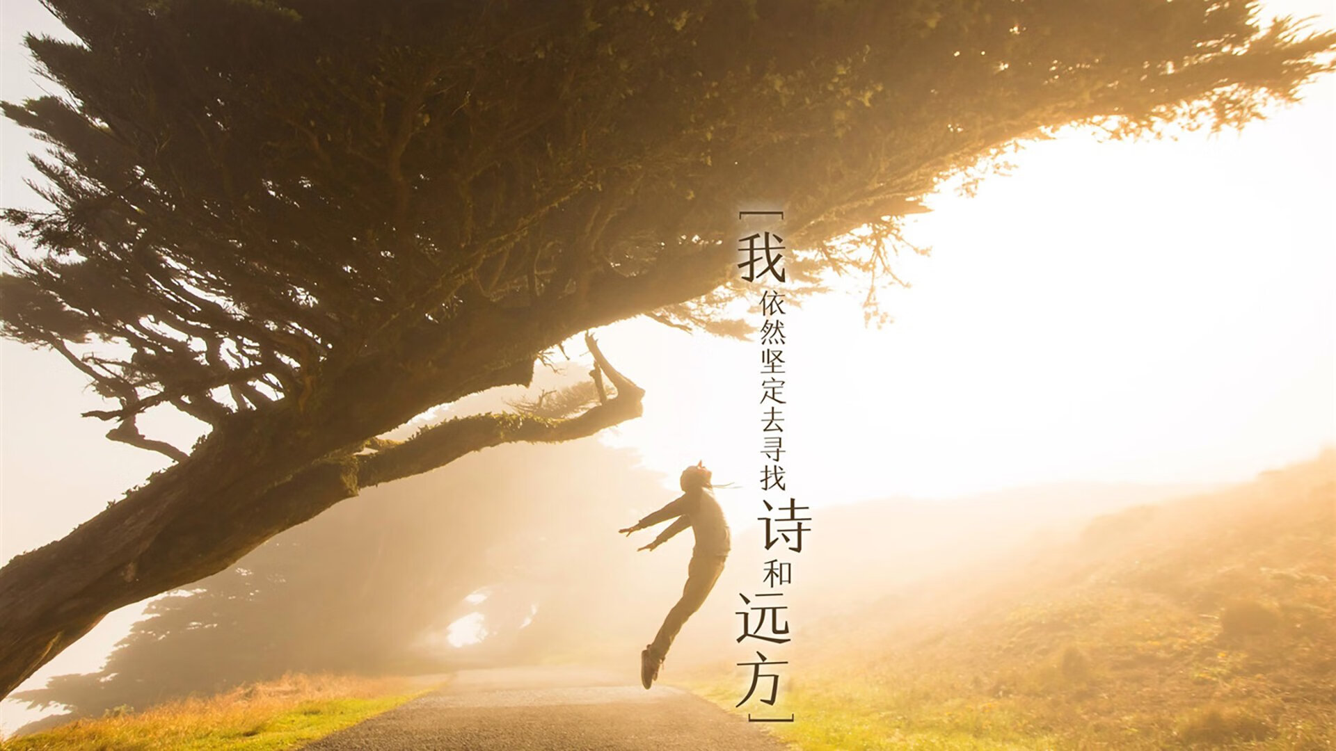 战术天才的“秘密武器”:团队里的奇兵奇谋,战术天才笔趣阁