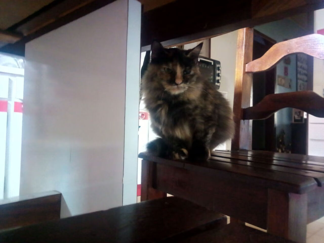 未来联盟:跨界合作开启篮球全球化“新篇章”,未来联盟巨星