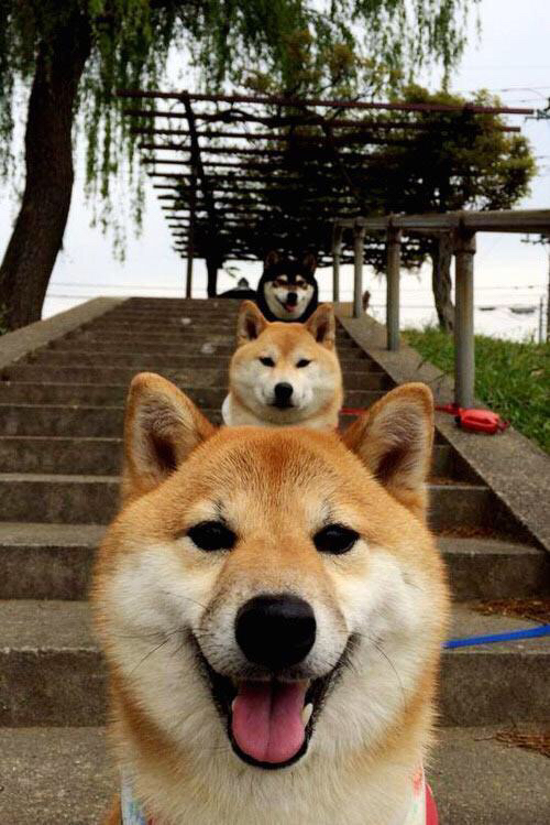 九游网页版入口-博卡青年战胜独立队，士气大振，博卡青年2020主力阵容