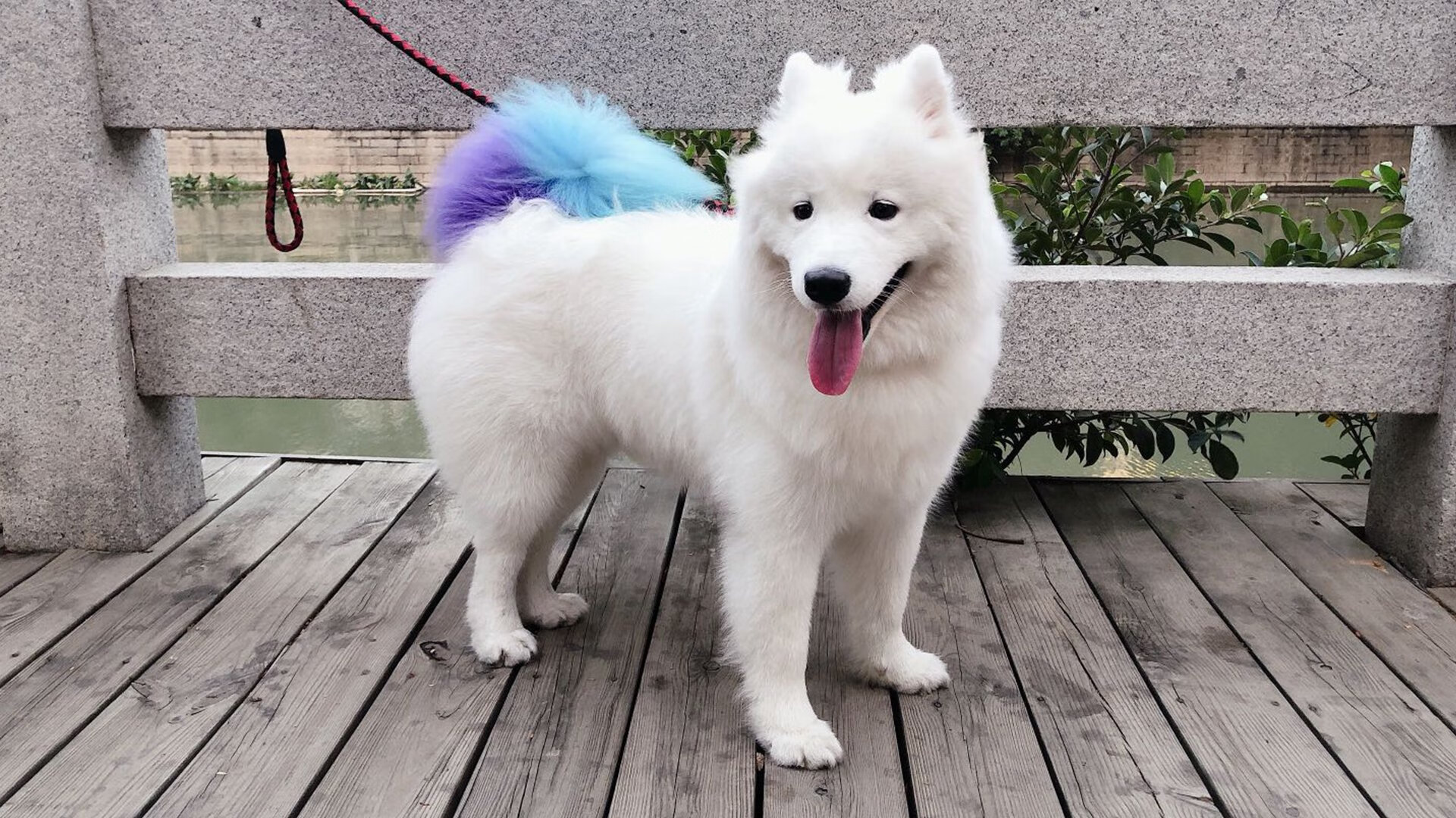 Jiuyou-电竞电竞赛事跨国合作的成功经验与挑战应对，电竞国内外