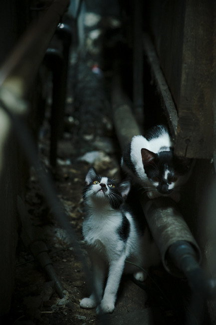 大学生体育课兴趣导向型教学改革策略,体育课兴趣的培养