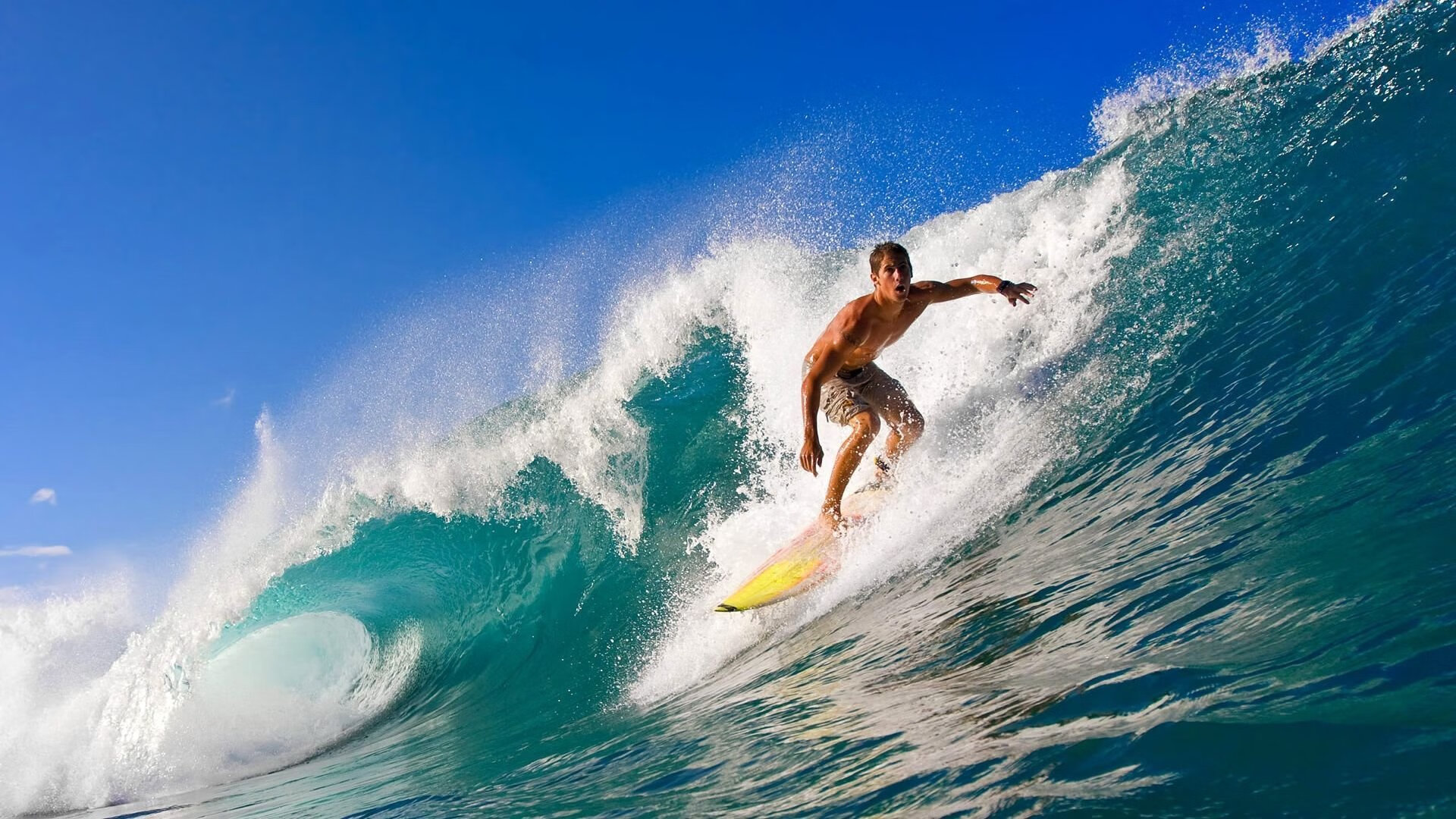 九游娱乐(jiuyou)官方网站-体育新闻中心共建赛事内容资产管理区块链平台，最新的体育赛事新闻稿