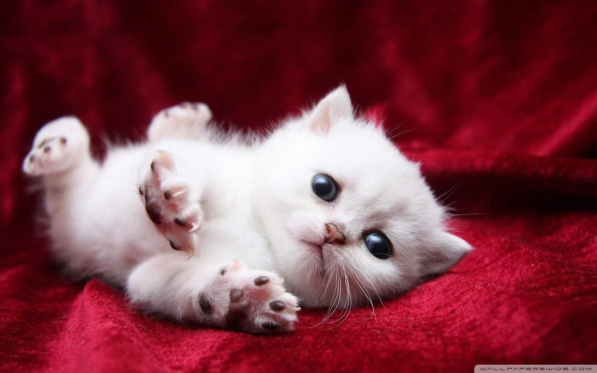 比赛节奏混乱时是否应减少战术复杂度,如何控制比赛节奏