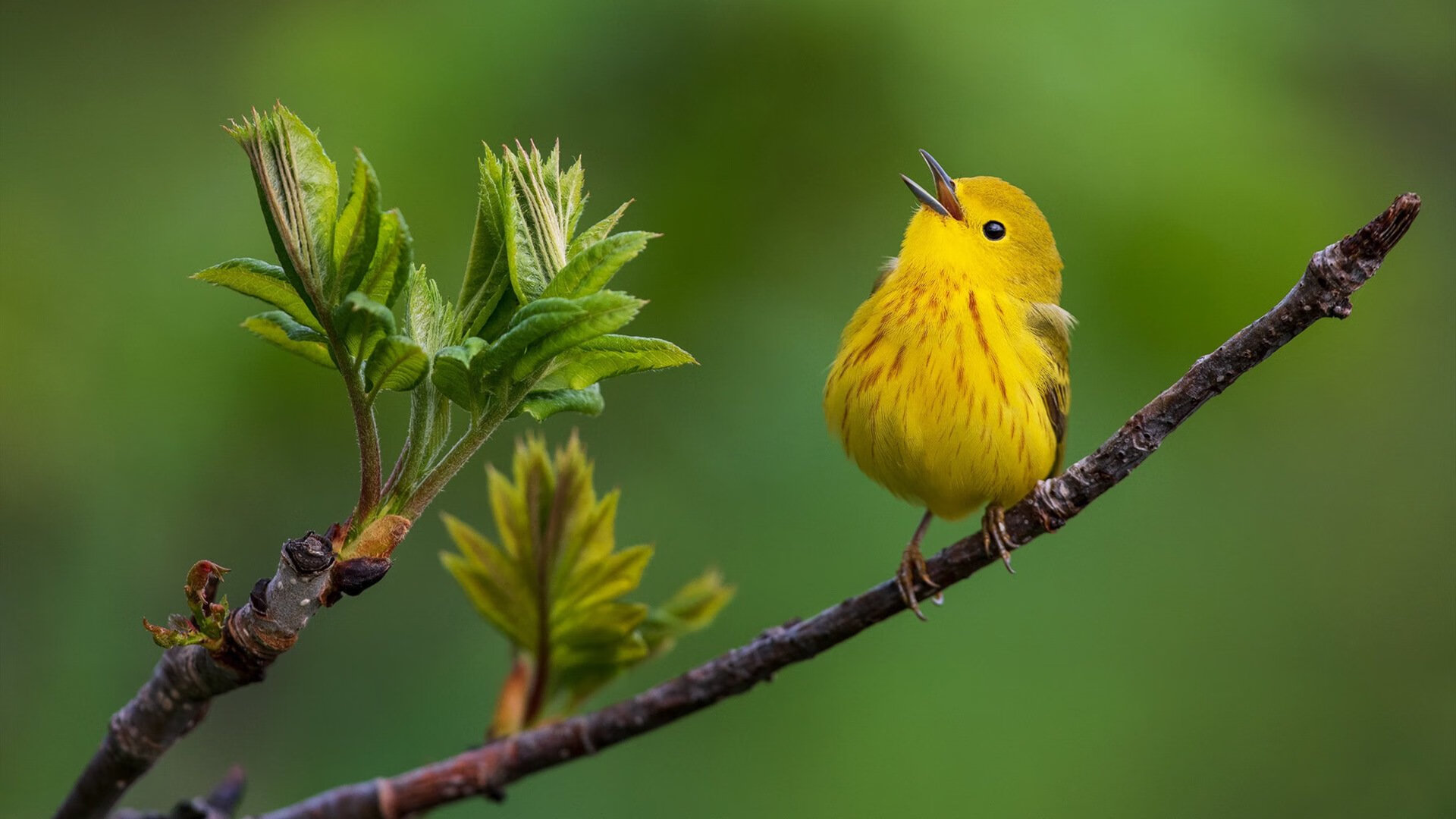 九游(jiuyou)官方网站-球队是否需要在节奏变化中设定应急战术流程，球队机制