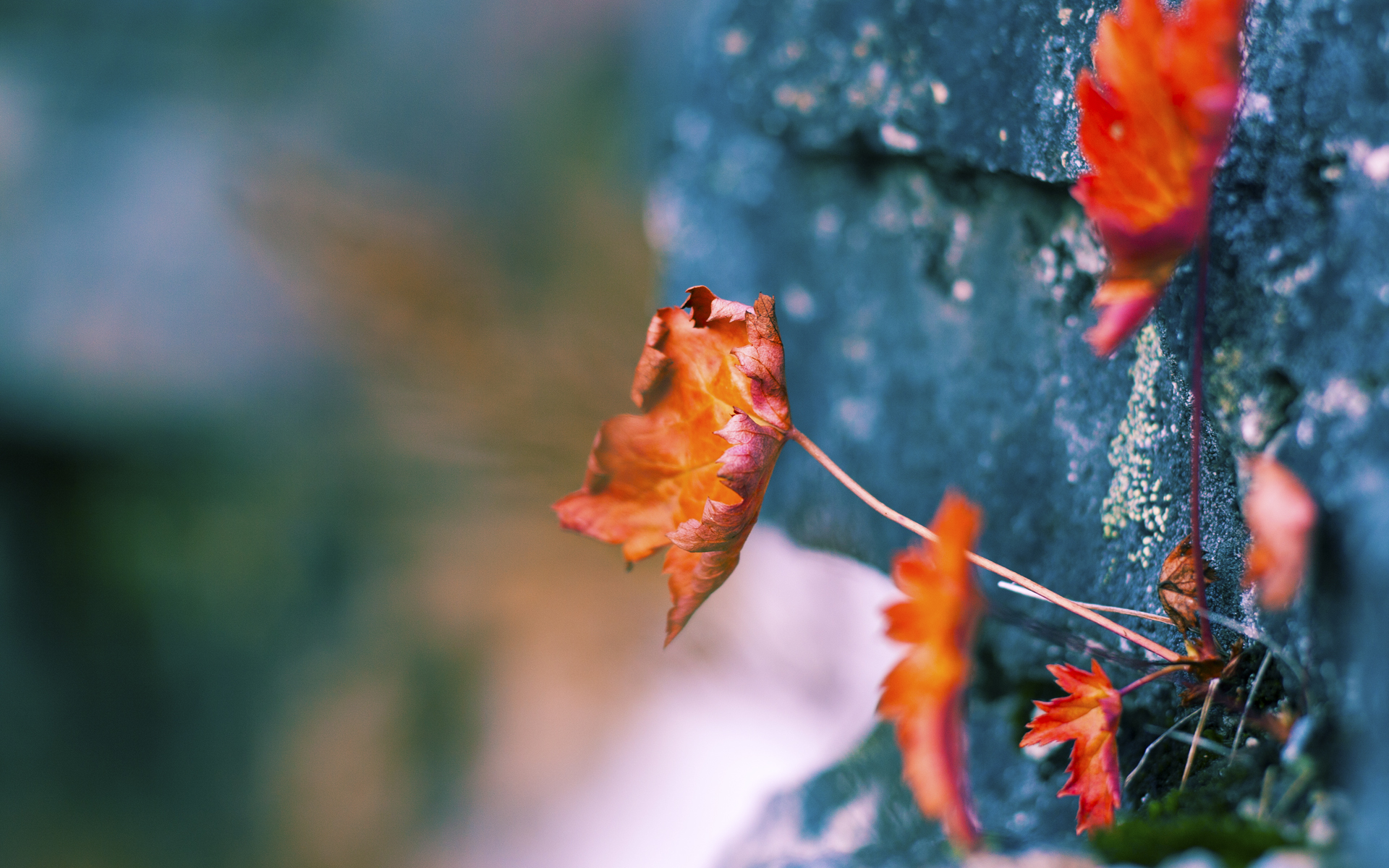 九游网页版官网-足球传控打法再度流行重塑战局，什么叫传控足球