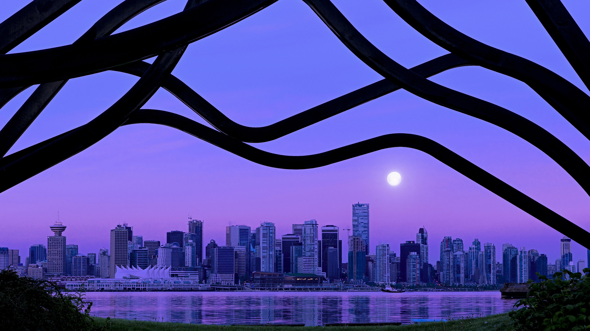 九游下载安装-南非橄榄球赛事吸引大量观众，市场价值稳步上升，南非 橄榄球