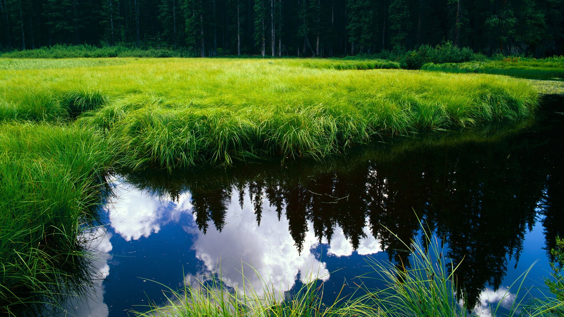 哈斯克决赛中段加速领跑赛道,哈克里斯集锦