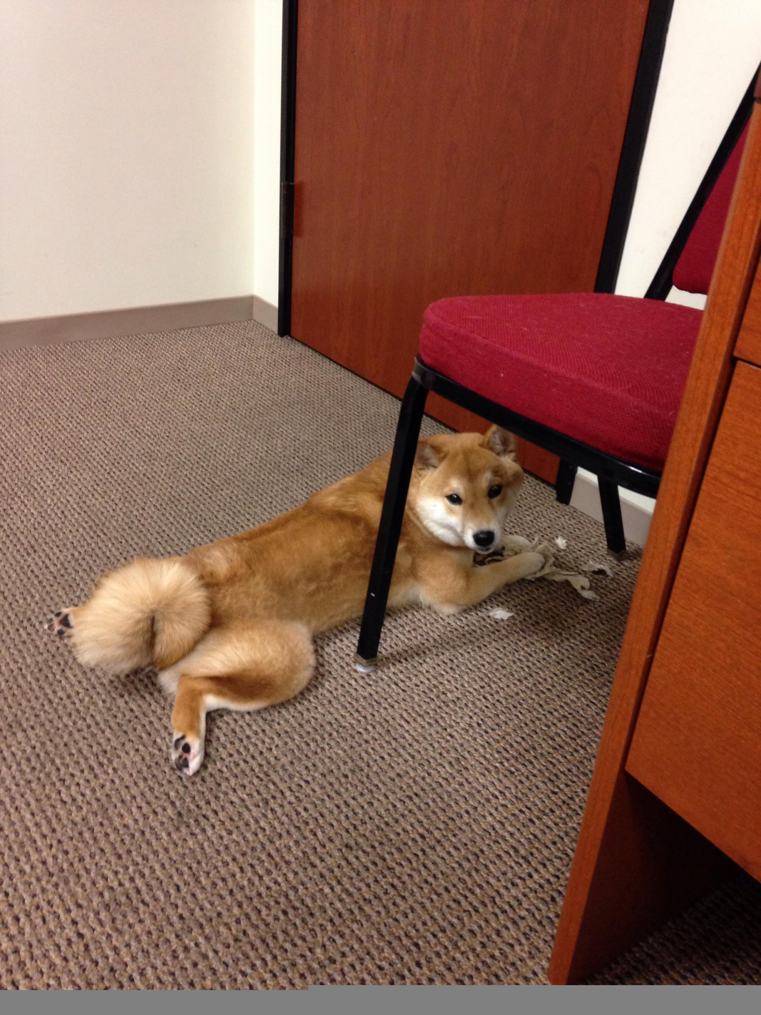 九游(jiuyou)官方网站-独行侠主帅称赞替补席对比赛影响明显，独行侠替补中锋